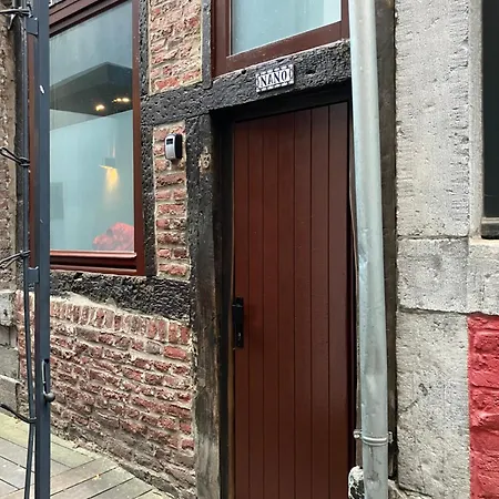 بيت للعطل La Nano Maison De لييج